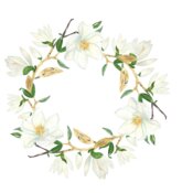 Magnolia wreath