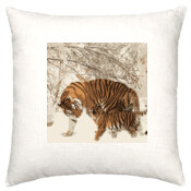 Tiger and cub